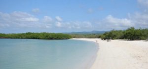 Пляж Тортуга Бэй на Галапагосских островах