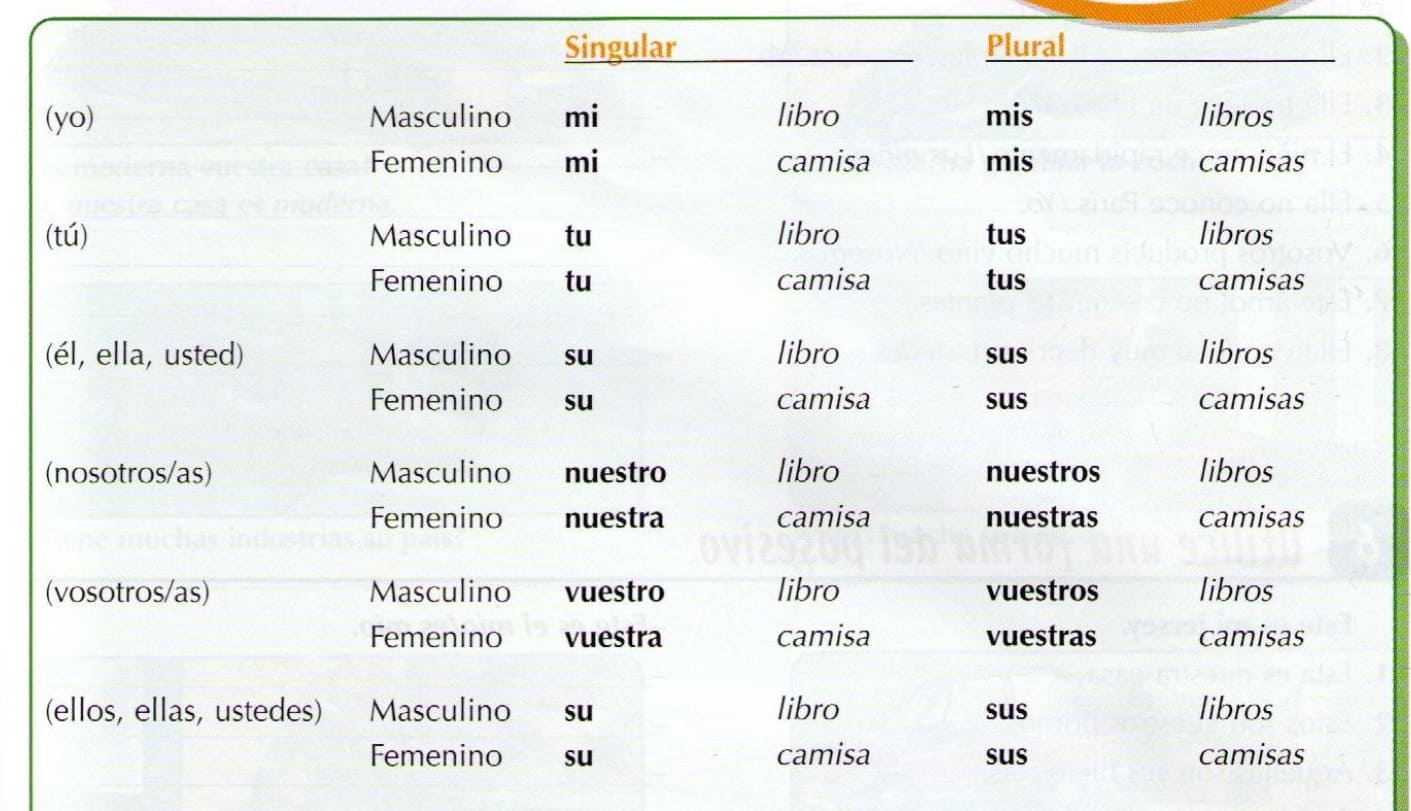Притяжательные местоимения в испанском языке
